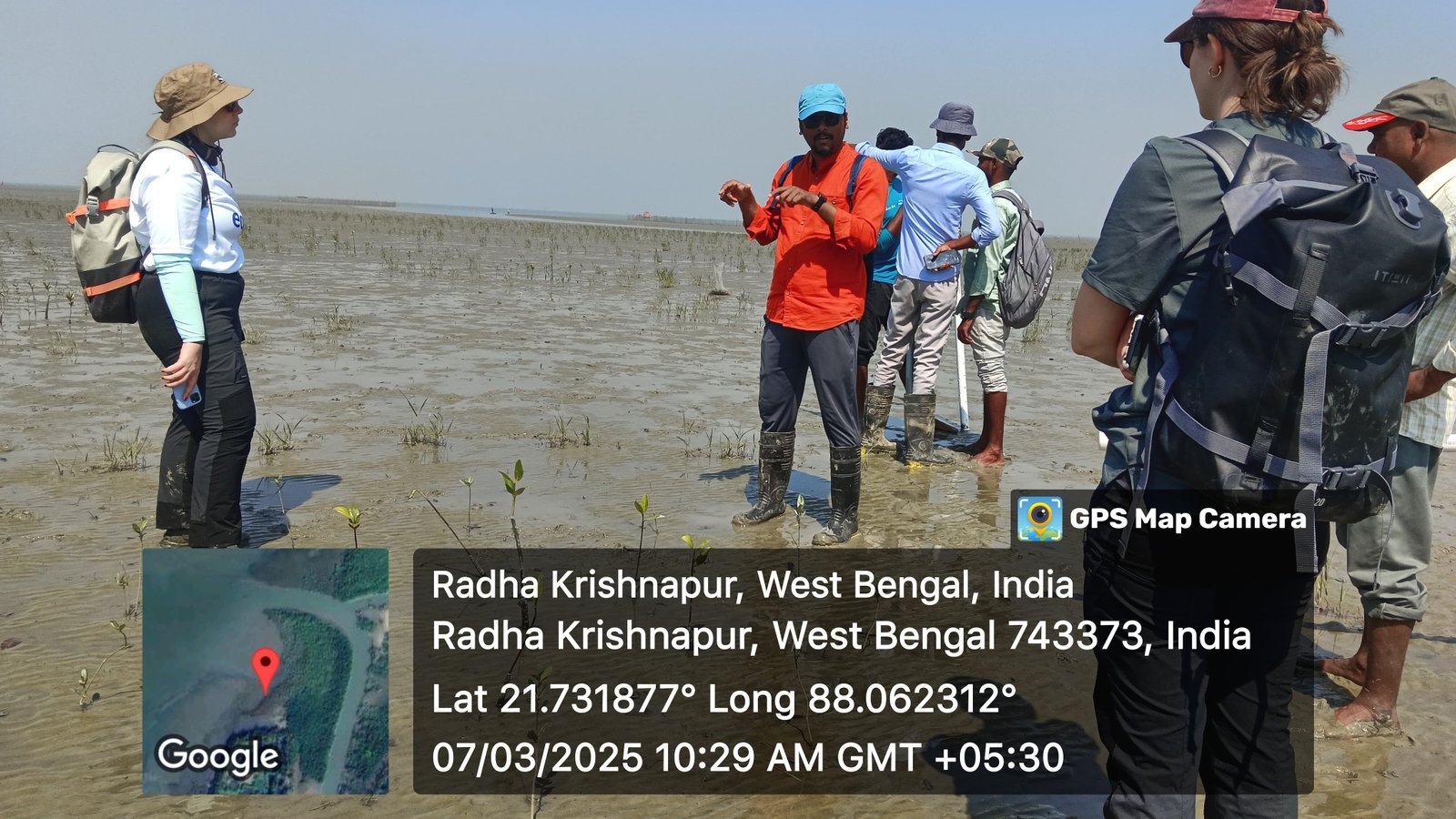A monitoring visit in a young mangrove plantation