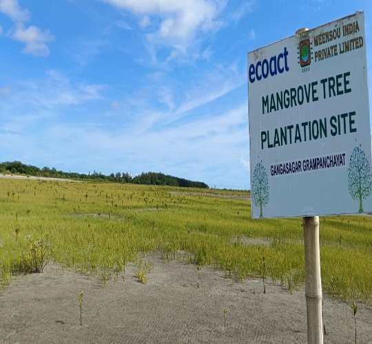 Meensou and EcoAct sign marking a mangrove plantation site at Gangasagar Gram Panchayat